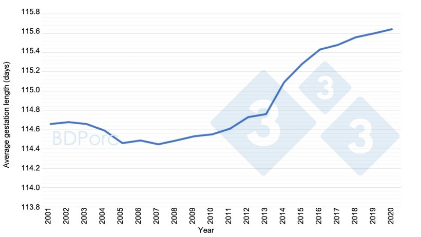 Graph 2. Average sow gestation length in Spain from 2001 to 2020. Source: BDPorc.
